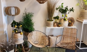 Wolterinck Event Decoration B.V.
