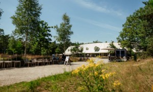 Het Nationale Park De Hoge Veluwe